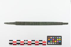 Foto von Bronzeraspel (NHMW-PRAE-023825)